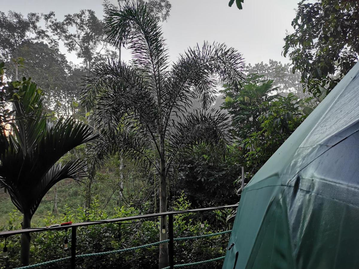 Отель Momotus Glamping Florencia Экстерьер фото
