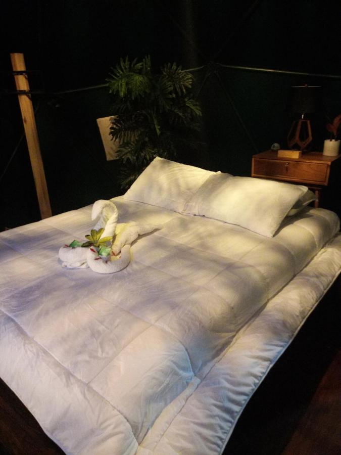 Отель Momotus Glamping Florencia Экстерьер фото