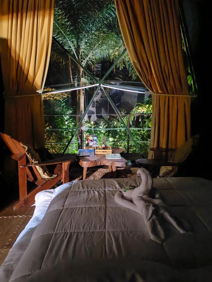 Отель Momotus Glamping Florencia Экстерьер фото